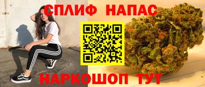 гидропоника Рязань