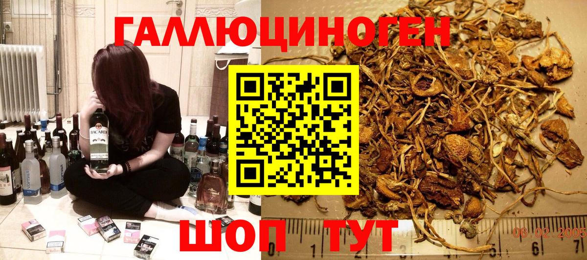 Псилоцибиновые грибы мухоморы Полысаево